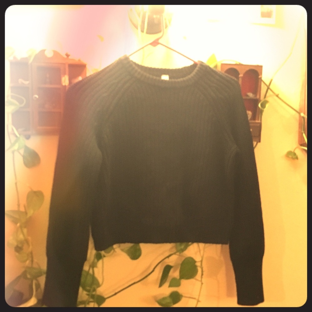 Black American Apparel crop knit crew sweater